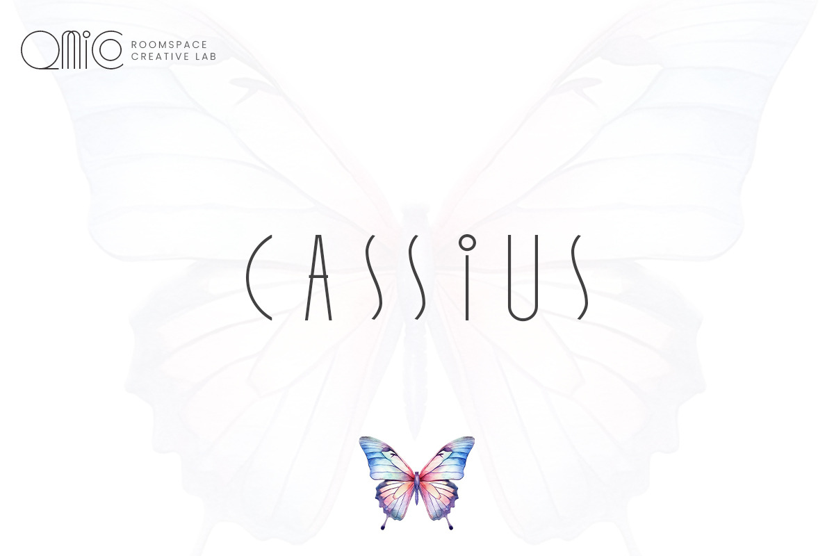 Qmico - Modern Minimal Art Deco Font, a Sans Serif Font by roomspace creative lab (Photo 6 of 11)