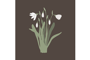 Snowdrop Bouquet Isolated On White