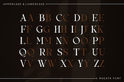 Rheata - Unique Serif Font, a Serif Font by Idea Studio (Thumbnail 10 of 11)