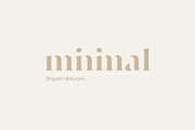 Modernist Milk -Fashion Stencil Font, a Serif Font by Tropical Type (Thumbnail 3 of 7)