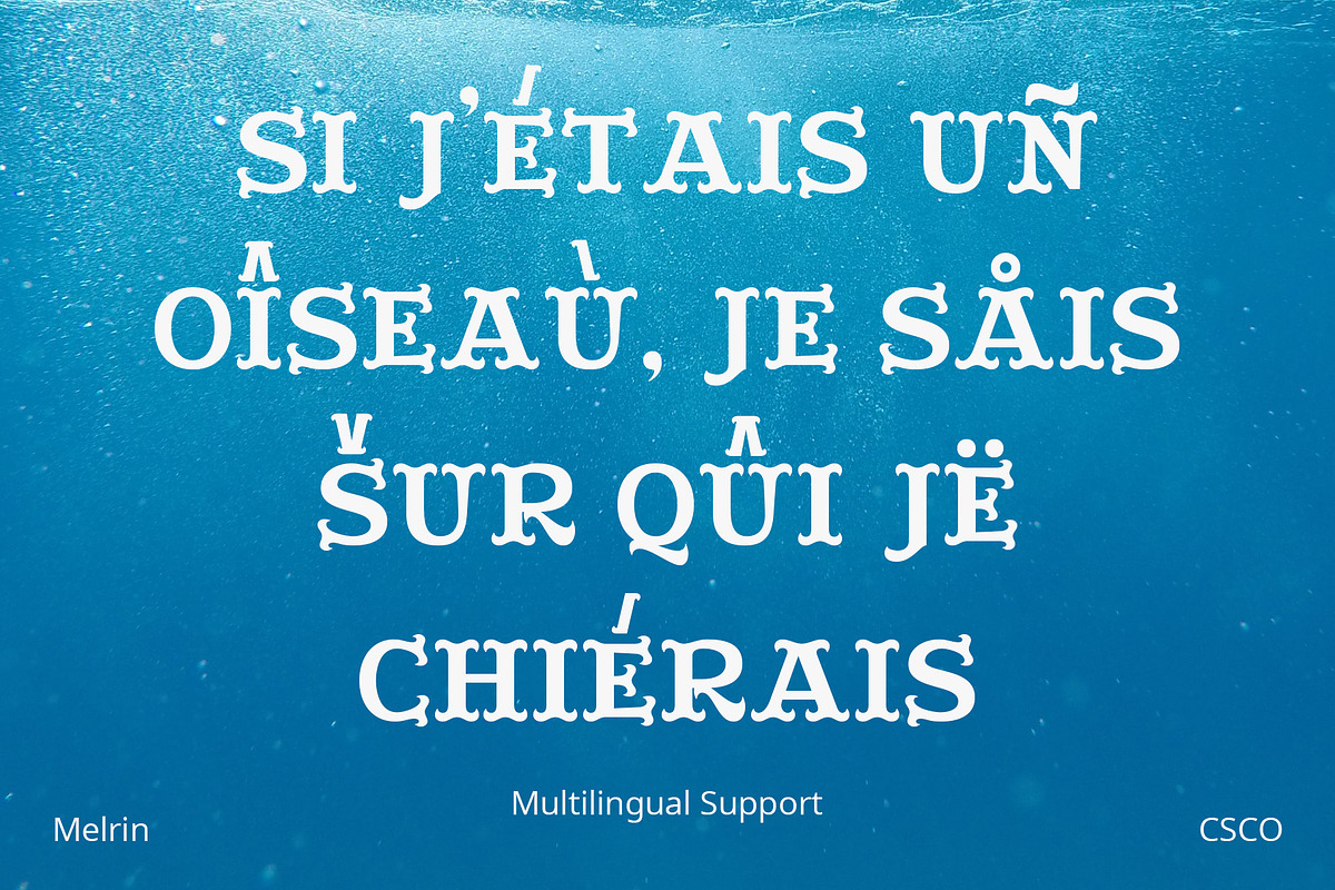 Melrin – Display Typeface, a Serif Font by Craft Supply Co. (Photo 7 of 8)
