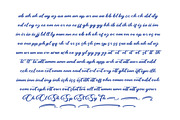 Palmeria Rooted Bold Calligraphy, a Script Font by Letterena Studios Script (Thumbnail 13 of 15)