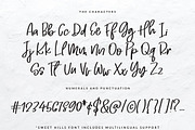 Sweet Hills Script Font + Dingbats, a Script Font by Creator Goodies (Thumbnail 2 of 11)