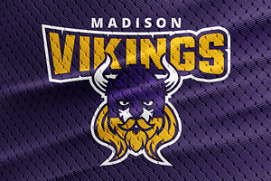 Vikings Logo