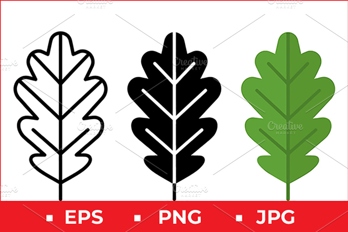 Leaf Vector Icons, a Solid Icon by Artonix (Photo 1 of 2)