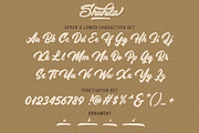 Shahila, a Script Font by Secondivison Supply (Thumbnail 7 of 7)