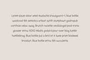 Smaskis Digital Notes Font, a Script Font by Sofia Skoog (Thumbnail 7 of 10)