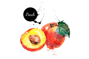 20 Watercolor Fruits Vector, a Food Illustration by Elena Pimonova (Thumbnail 5 of 5)