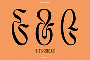 TAN - ASTORIA, a Serif Font by TanType (Thumbnail 17 of 21)