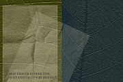 Embossed Leaf Autumn Backgrounds, a Background Graphic by Anzhelika (Thumbnail 6 of 12)