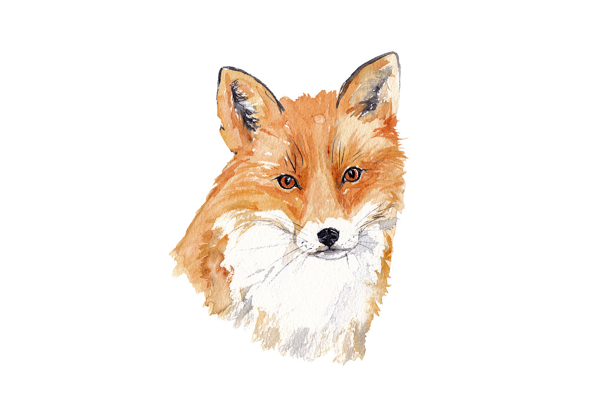 Watercolor Fox Illustration, an Animal Illustration by Foxery Digital (Photo 2 of 5)
