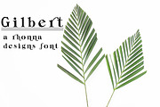 GILBERT Hand Crafted Font, a Serif Font by Rhonna Designs (Thumbnail 1 of 3)