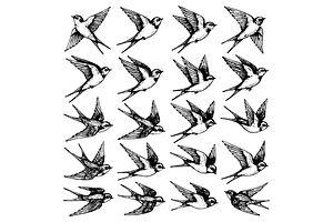 Swallow Bird Flying Illustration Set, an Object Graphic by nikagraphic