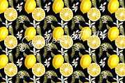Lemon in botanical style, a Food Illustration by Ann Astro (Thumbnail 6 of 9)