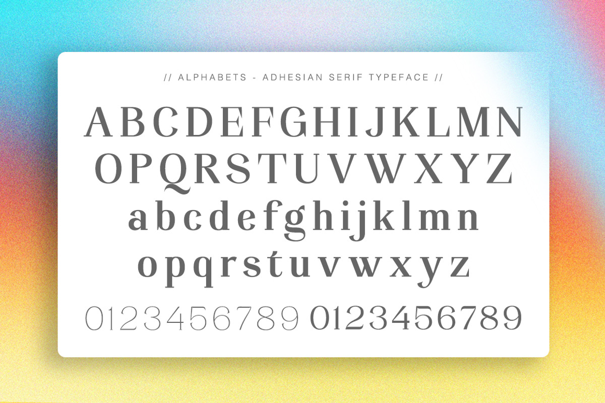 Adhesian Serif Font Family, a Serif Font by Propertype (Photo 12 of 12)