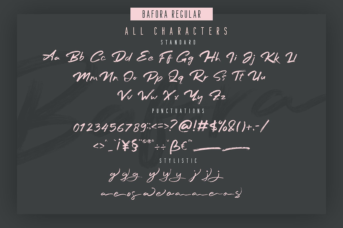 Bafora - SVG Font + Bonus, a Script Font by Craft Supply Co. (Photo 12 of 15)