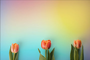 Easter Stock Photo Bundle - 75% OFF!, a Holiday Photo by GetMockups (Thumbnail 16 of 21)