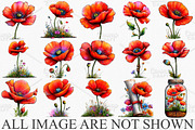 Spring Meadow Poppies Clipart Bundle, an Illustration by Canvas Craft (Thumbnail 3 of 7)