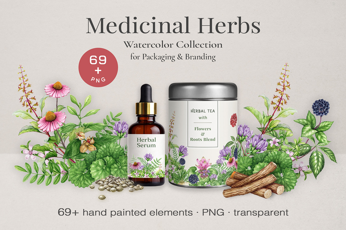 Medicinal Herbs Watercolor Clipart, a Healthcare Illustration by AnitaPol (Photo 1 of 11)