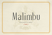 Malimbu - Exclusivity Serif, a Serif Font by Tammami (Thumbnail 1 of 9)