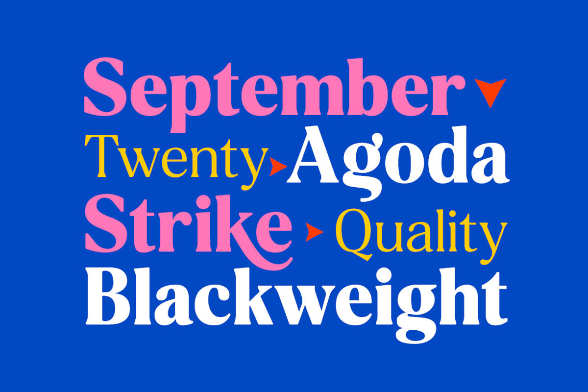 Delvona Serif Family, a Serif Font by Mulkan Nazir (Photo 11 of 15)