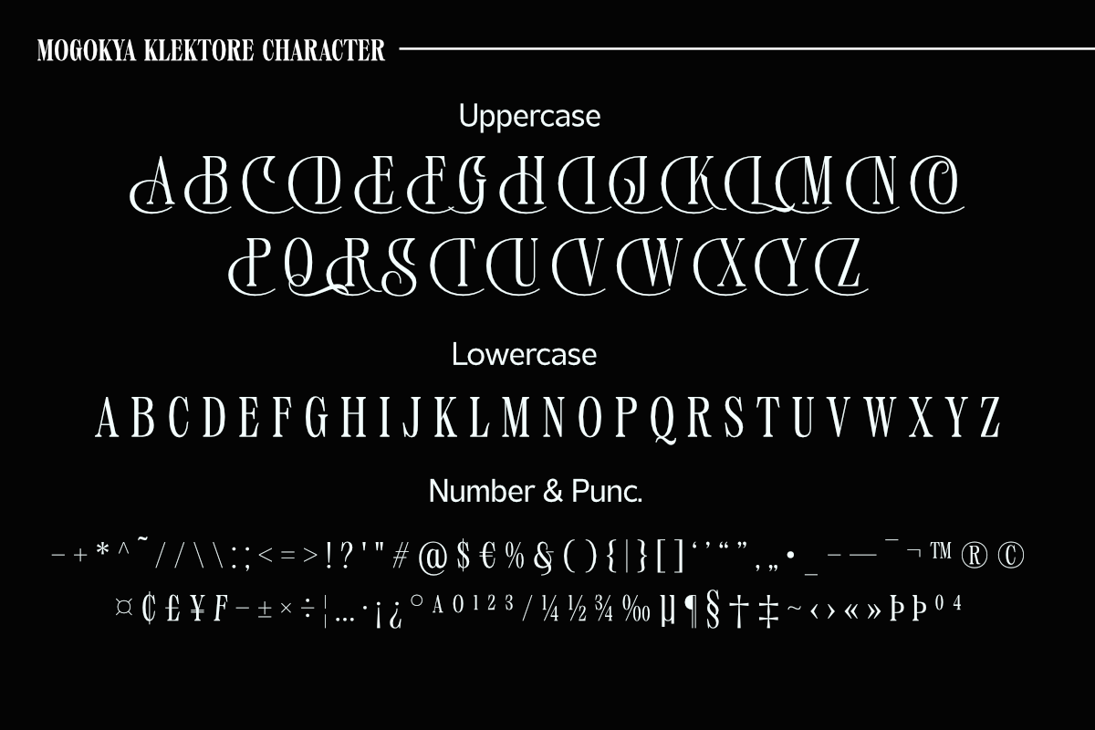 Mogokya Klektore, a Serif Font by Differentialtype (Photo 9 of 11)