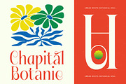 Fading Husker Modern Serif Font, a Serif Font by timelesstype.co (Thumbnail 8 of 20)
