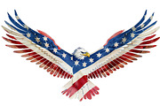 American Eagle Flag Patriotic PNG, an Object Graphic by VetalStock (Thumbnail 6 of 6)