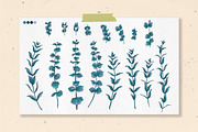 Protea flowers and eucalyptus sketch, an Illustration by irina.vaneeva (Thumbnail 5 of 12)