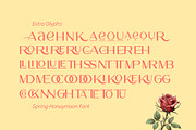 Spring Honeymoon - Aesthetic Font, a Sans Serif Font by Salamahtype (Thumbnail 8 of 9)