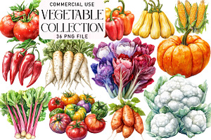 Watercolor Vegetable Collection Clip, an Illustration by Daily.Designs