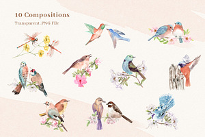 Spring Birds Of Spring Watercolor