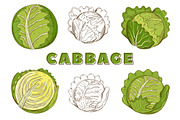 Vegetables in the Vintage Style, a Healthcare Illustration by Alfazet Chronicles (Thumbnail 12 of 15)