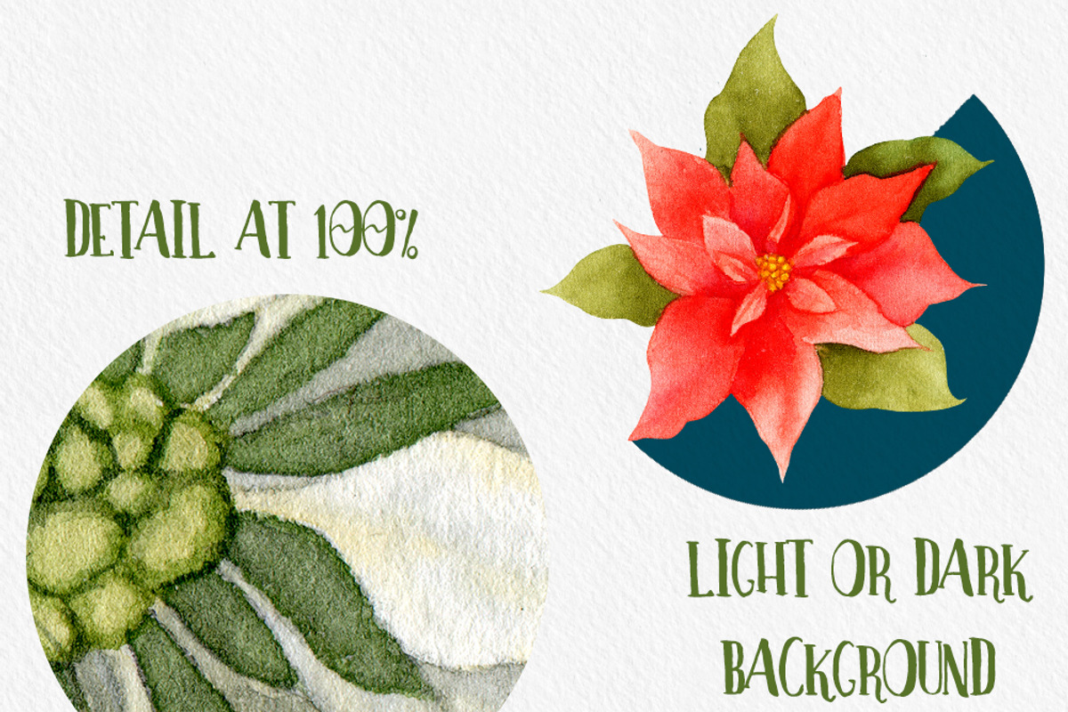 Watercolor Christmas & Winter Set, an Illustration by Watercolor Nomads (Photo 8 of 8)