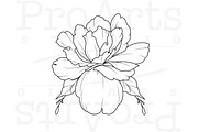 Peony Procreate Tattoo Brush Set, a Brush Add-On by Lucrumplus (Thumbnail 7 of 10)