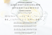 Lemonade | Script Font, a Script Font by Scratchones (Thumbnail 7 of 8)