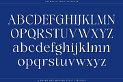 Champles A Modern Serif Typeface, a Serif Font by Comactype Foundry (Thumbnail 12 of 20)