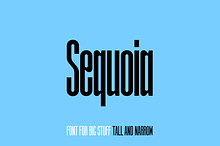 Sequoia