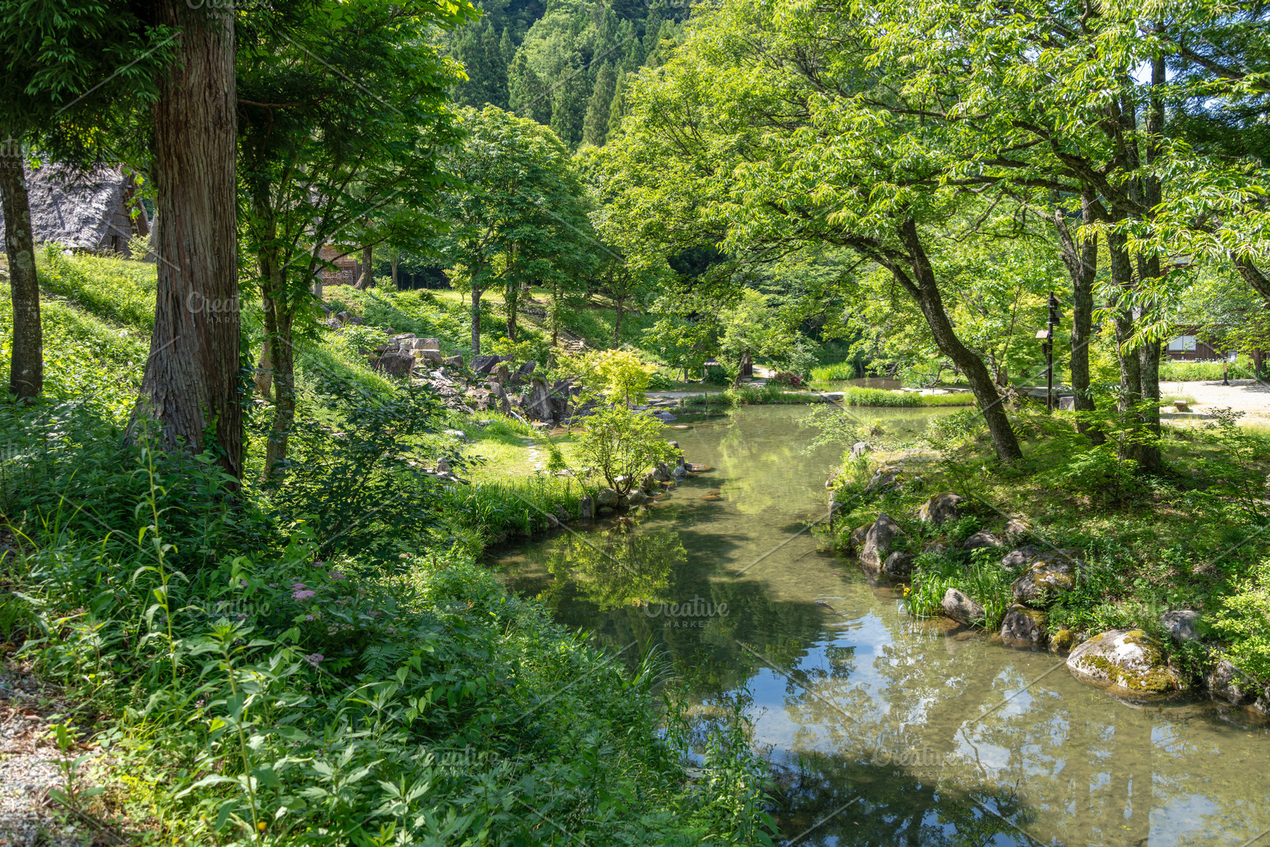 Traditional pond and houses in Shirakawa-go, Japan in summer, a Nature Photo by GoodGoods
