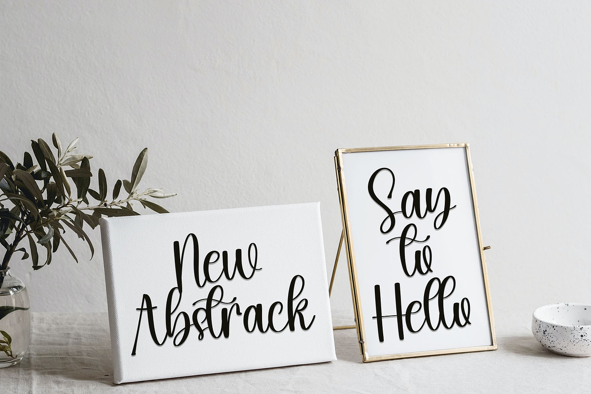 Skylife, a Script Font by FreshTypeINK (Photo 6 of 8)