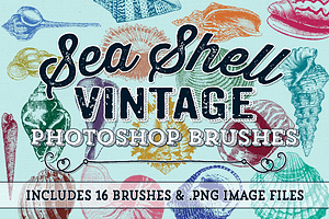 Vintage Sea Shell Photoshop Brushes