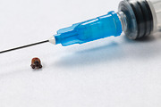 Mite and syringe tool featuring acarian, tick, and acarid, a Health & Medical Photo by Alexander62 (Thumbnail 1 of 2)