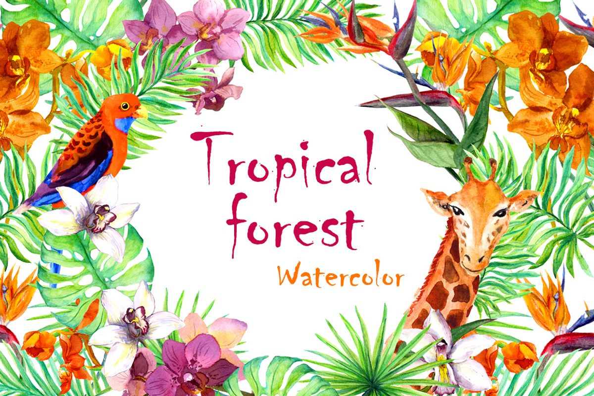 Exotic flowers watercolor clipart, an Animal Illustration by Where summer is (Photo 1 of 7)