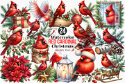 Watercolor Red Cardinal Christmas, an Illustration by Canvas Craft (Thumbnail 1 of 7)