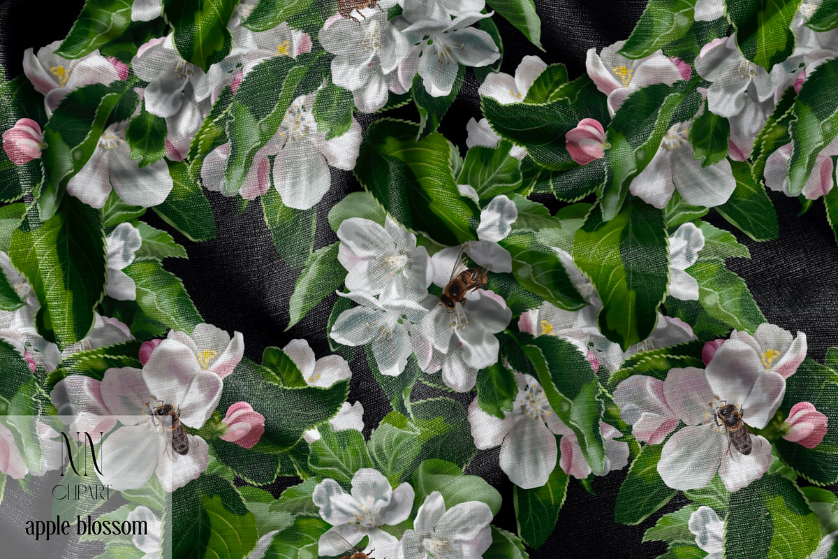 Apple Blossom - Botanical pattern, a Pattern Graphic by NNclipart (Photo 4 of 12)
