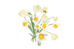 Vector Object Brushes. Daffodils