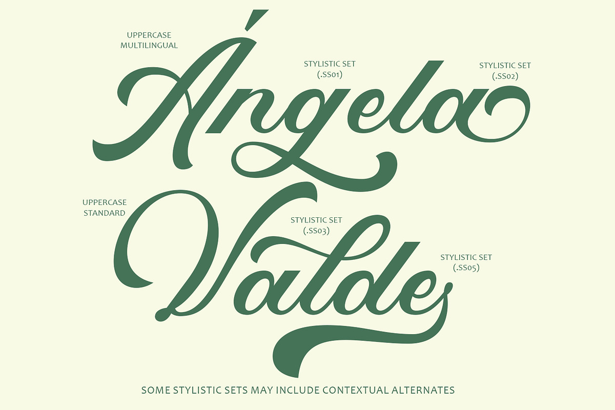 Slightly Hangover Script Typeface, a Script Font by Arendxstudio (Photo 2 of 10)