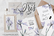 Transparent flowers of iris., an Illustration by RushkinaAntonina (Thumbnail 2 of 6)