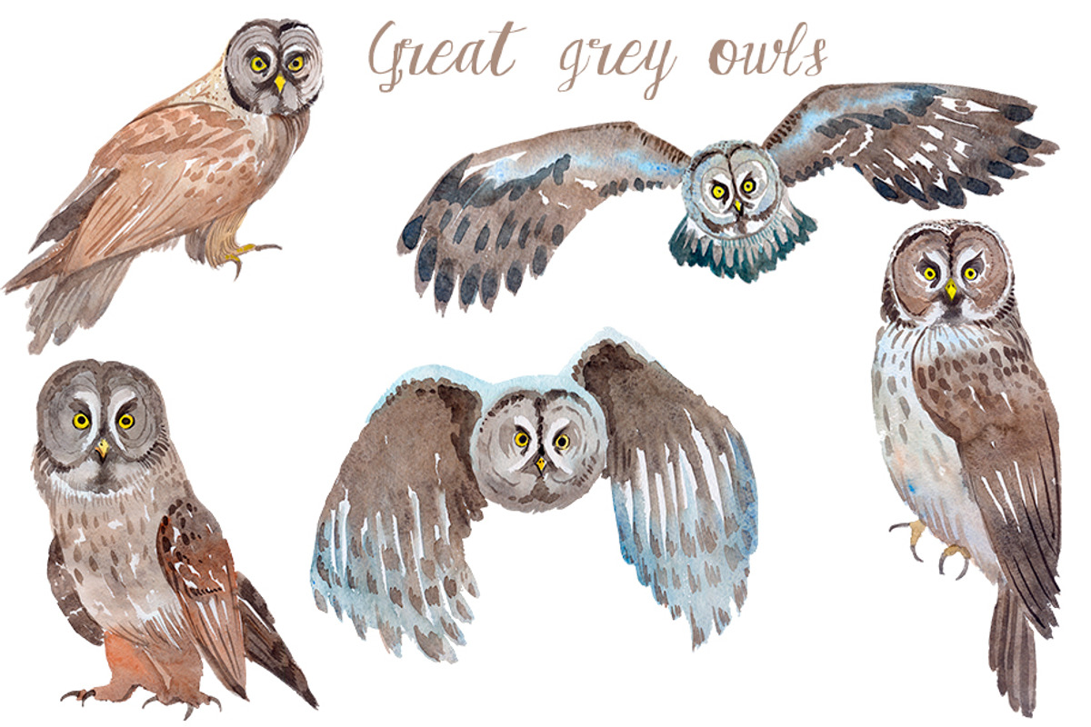 Watercolor Owls Bundle - 53 Owls, an Animal Illustration by YesFoxy (Photo 6 of 11)