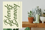 Brighten Shootters Modern Script, a Script Font by Letterena Studios Script (Thumbnail 14 of 20)